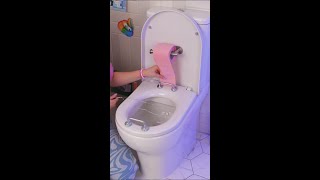 DIY Toilet Hack for Everyday Problems 🚽✨ DIY lifehack funny [upl. by Vial]