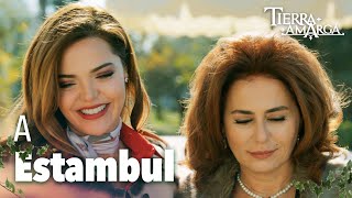 Züleyha y Sevda viajarán a Estambul 🛫 Capítulo 270 [upl. by Anazraf]