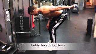 Cable Triceps Kickback [upl. by Perot]