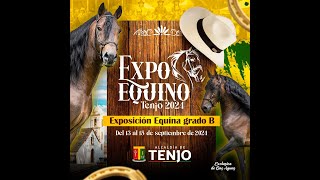 EXPO EQUINO TENJO  PASOPISTA  día 1 [upl. by Ahsemed]