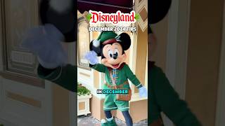 Disneyland December 2024 Visiting Tips shorts [upl. by Arretnahs]