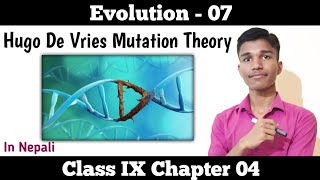 Hugo de Vries Mutation Theory  evolution part 7 guru sciency  Class 9 science chapter 4 in nepali [upl. by Dlaner563]