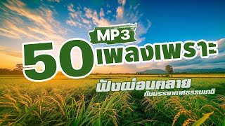 รวมเพลง 50 เพลงเพราะ MP3 ฟังผ่อนคลาย [upl. by Duahsar]