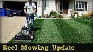 Swardman Reel Mower Striping  Reel Low Project Update [upl. by Aronle957]