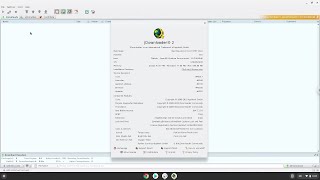 How to install JDownloader 2 on a Chromebook [upl. by Esnahc]