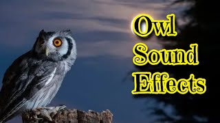 Owl Sound Effects [upl. by Eitsyrc]