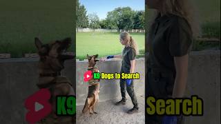 K9 🔎 Trainingdog dog k9trainer belgianmalinoisdog k9 pets belgiummalinois [upl. by Elmer422]