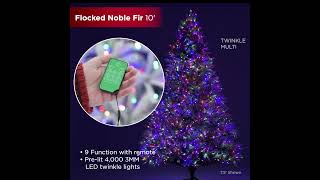 10 ft Flocked Noble Fir Full Christmas Tree Lighting [upl. by Werner29]