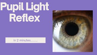 Pupil light reflex in 2 minutes [upl. by Faunia]