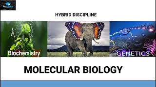 Introduction To Molecular Biology [upl. by Eilyr68]