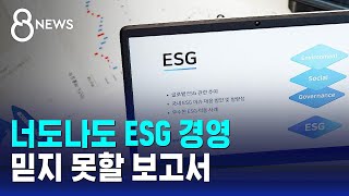 너도나도 ESG 경영…믿지 못할 보고서  SBS 8뉴스 [upl. by Avaria]