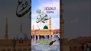 Jao a hajio Darbar madina dekhoyoutubeshorts allha [upl. by Suolevram]