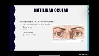 Motilidad Ocular [upl. by Iadrahs]