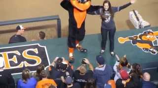 Baltimore Orioles Seventh Inning Stretch [upl. by Ney]