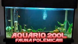 Meu NOVO AQUÁRIO de 200L  Aquarysmo [upl. by Feinberg]