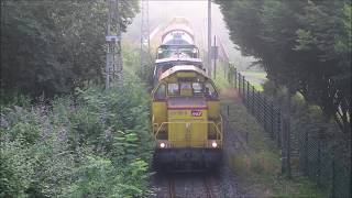 20190704 Passage du train désherbeur entre Pau et Bedous [upl. by Ellehcen870]