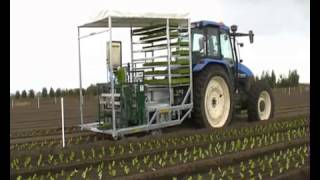 Fully automatic planting machine  4 row vegetable transplanter [upl. by Obidiah606]