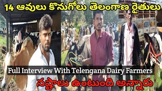 14 Cows For Telengana Farmers in Punganur Market  Telugu Interview  Mohan Crazy Vlogs [upl. by Nawuq]