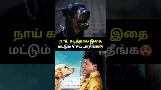 நாய் கடித்தால் இதமட்டும் செய்யாதீங்க 🤯🥵 shorts dogbite [upl. by Nnylf]