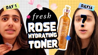 How To Make A Face Toner 🌿 4 DIY Simple Natural Recipes [upl. by Adnak200]