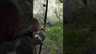 Rinehart 3d Woodland Boar Target  Keith Hodgkinson JPS Hybrid Longbow [upl. by Dorfman]