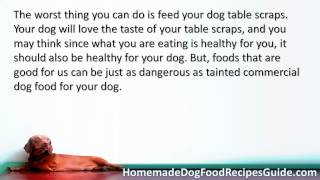 Dog Food Recipes for Dogs with Pancreatitis [upl. by Reivaz]