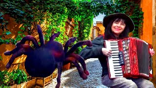 WIESIA PUSTE KOPERTY Grzyby i Pająki  accordion melodie biesiadne polkarhumba [upl. by Airemahs]