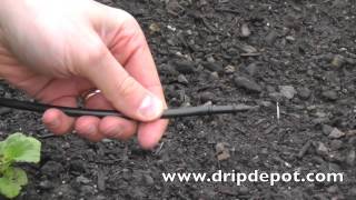 How to Install a Drip Irrigation System for Trees [upl. by Batista518]