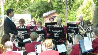 Basingstoke Silver Band [upl. by Halika]