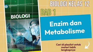 Memahami perbedaan Anabolisme dan Katabolisme BIOLOGI KELAS 12 buku kemendikbud [upl. by Ikeda]