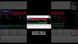 ¿Qué es el flotante en el trading del bot [upl. by Aihsekram]