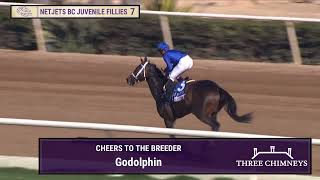 Immersive wins the NetJets Breeders Cup Juvenile Fillies GI race 7 at Del Mar 11124 [upl. by Notnel]