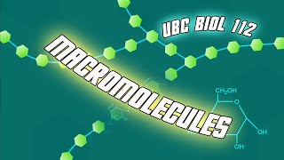 Introduction to Macromolecules  Biol 112 at UBC [upl. by Anas]