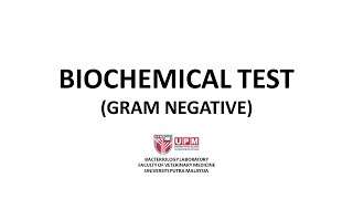 Biochemical Test of GramNegative Bacteria [upl. by Ammadas]