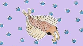 anomalocaris  music for cambrian animals [upl. by Brasca912]