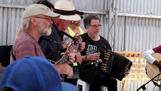 Black Cat Piddled In The White Cat Eye 2019 Furneaux Islands Festival [upl. by Agnes]