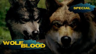 Best Wolfblood Showdowns from Season 1 and 2  Wolfblood  Special [upl. by Georgina]