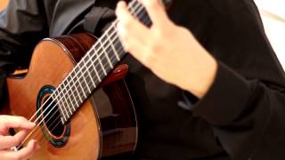 Patrik Kleemola plays Leo Brouwer´s Estudio 18 Estudios sencillos [upl. by Ahsinet]