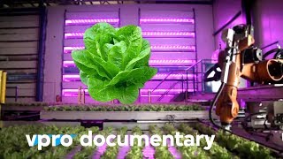 Digital Food The Food Industry Of Tomorrow  Docu [upl. by Iand]