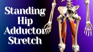 Optimal Inner Thigh Stretching Stretch Technique for Sports Performance amp Injury Prevention [upl. by Irehs]