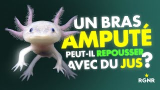 Un bras amputé peut il repousser avec des jus [upl. by Alyag]