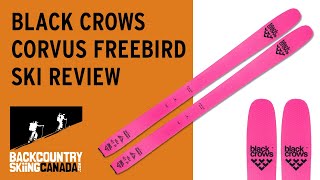 Black Crows Corvus Freebird Skis [upl. by Shalom]