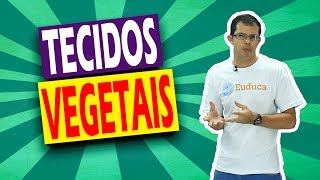 Tecidos Vegetais  Histologia  Biologia  Euduca [upl. by Trinl]