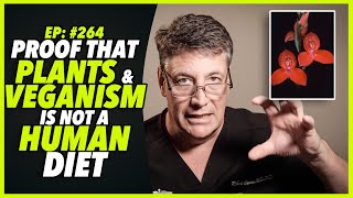 Ep264 PROOF THAT PLANTS AND VEGANISM IS NOT A HUMAN DIET  by Robert Cywes [upl. by Ayar]