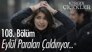 Eylül paraları çaldırıyor  Kırgın Çiçekler 108 Bölüm [upl. by Ahsem556]