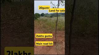 Low cost agricultural land sale 20guntas land sale shortvideo [upl. by Haleak]