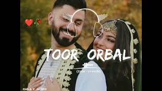 Toor Orbal Song Slowed And Reverb [upl. by Namaj100]