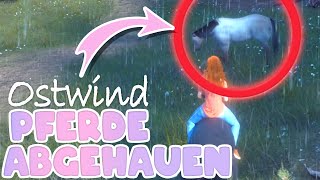 Reiterlos durch den Wald 🐴 Ostwind Remastered  22 [upl. by Aicarg]