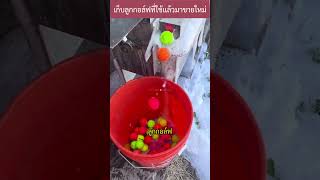 เก็บลูกกอล์ฟมาใช้ใหม่ golf recycle interesting [upl. by Aurlie]