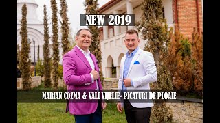 Marian Cozma amp Vali VijeliePicaturi de PloaieOfficial 2019 RomanoMachedoneasca [upl. by Agni]